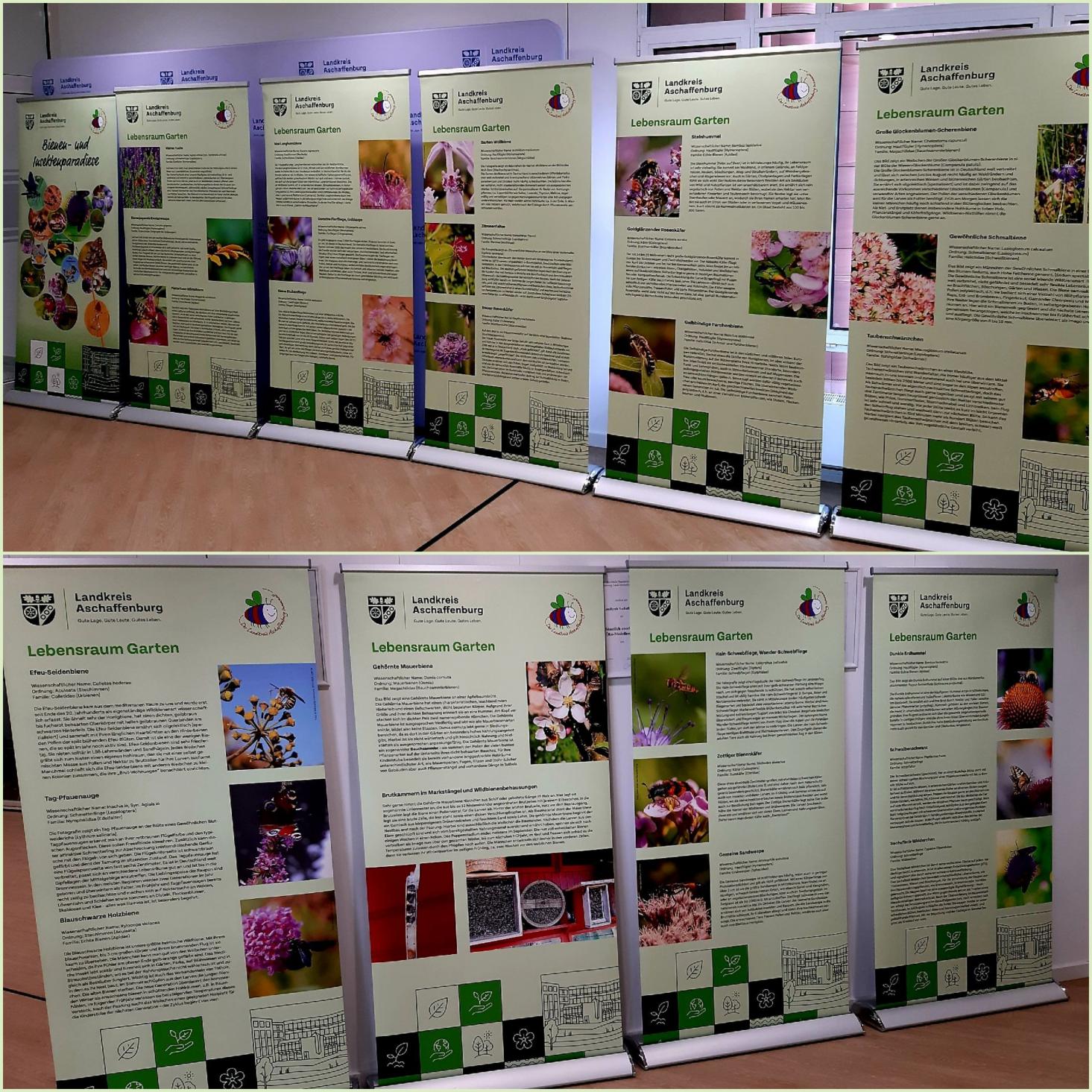 Foto der Ausstellung. © Foto: Landratsamt Aschaffenburg