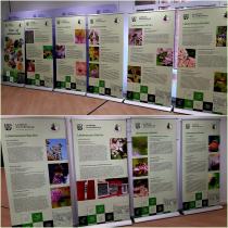 Foto der Ausstellung. © Foto: Landratsamt Aschaffenburg