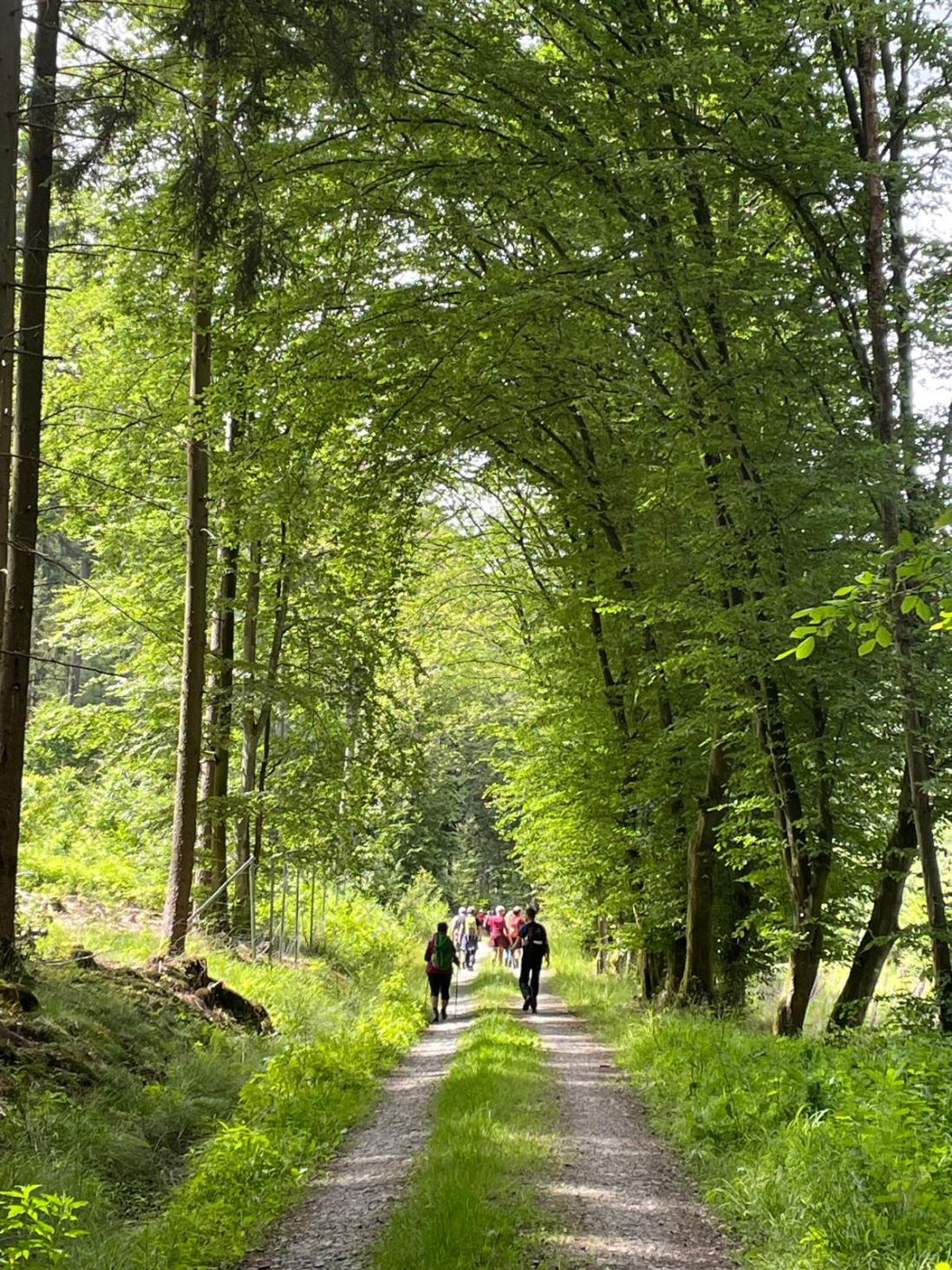 Bilder Wanderungen und Landschaft: Bildrechte : Christl Orzikowski