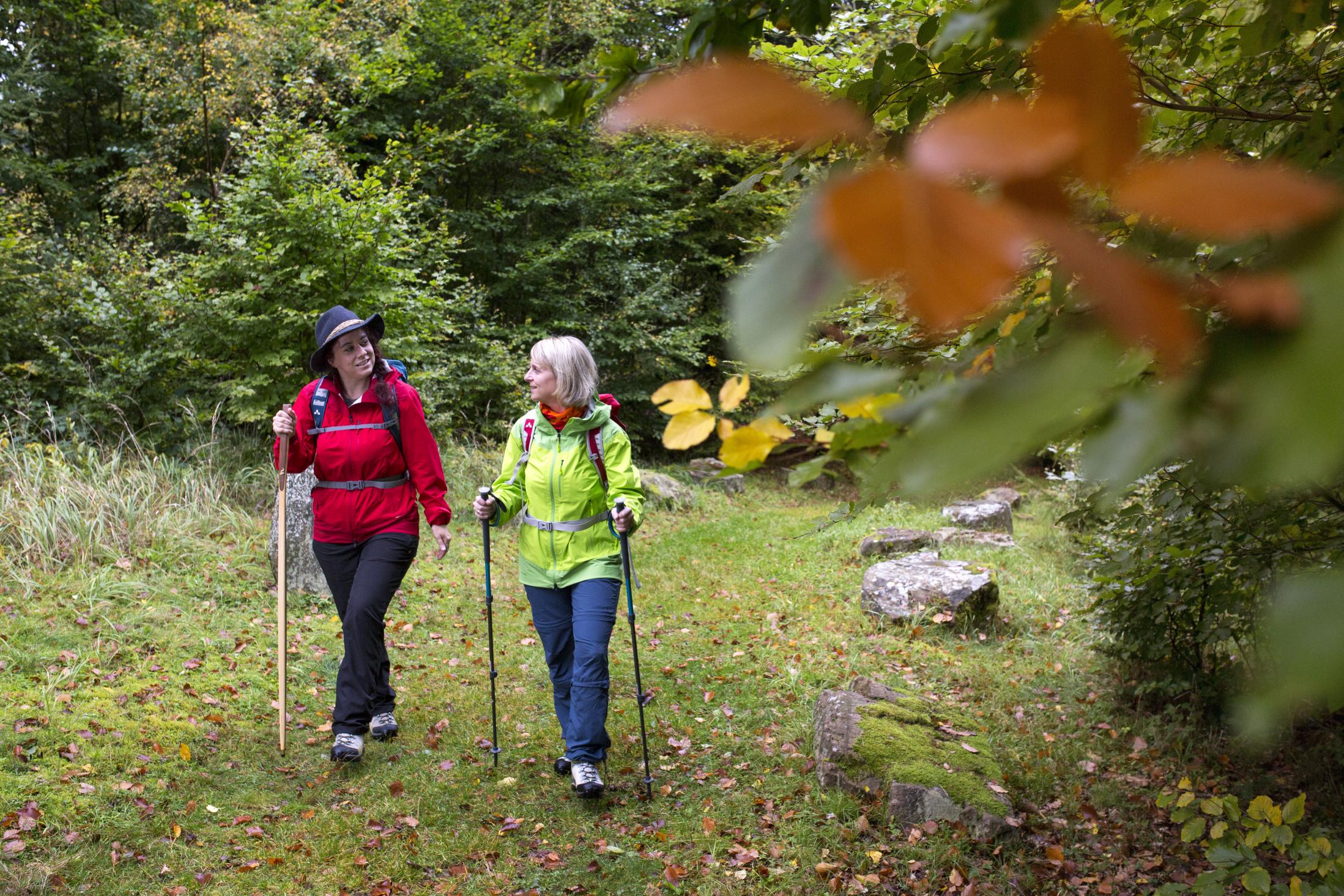 Wandern entlang am „Alten Schulweg“ © Touristikverband e.V. RÄUBERLAND / Best of Wandern / Thomas Bichler
