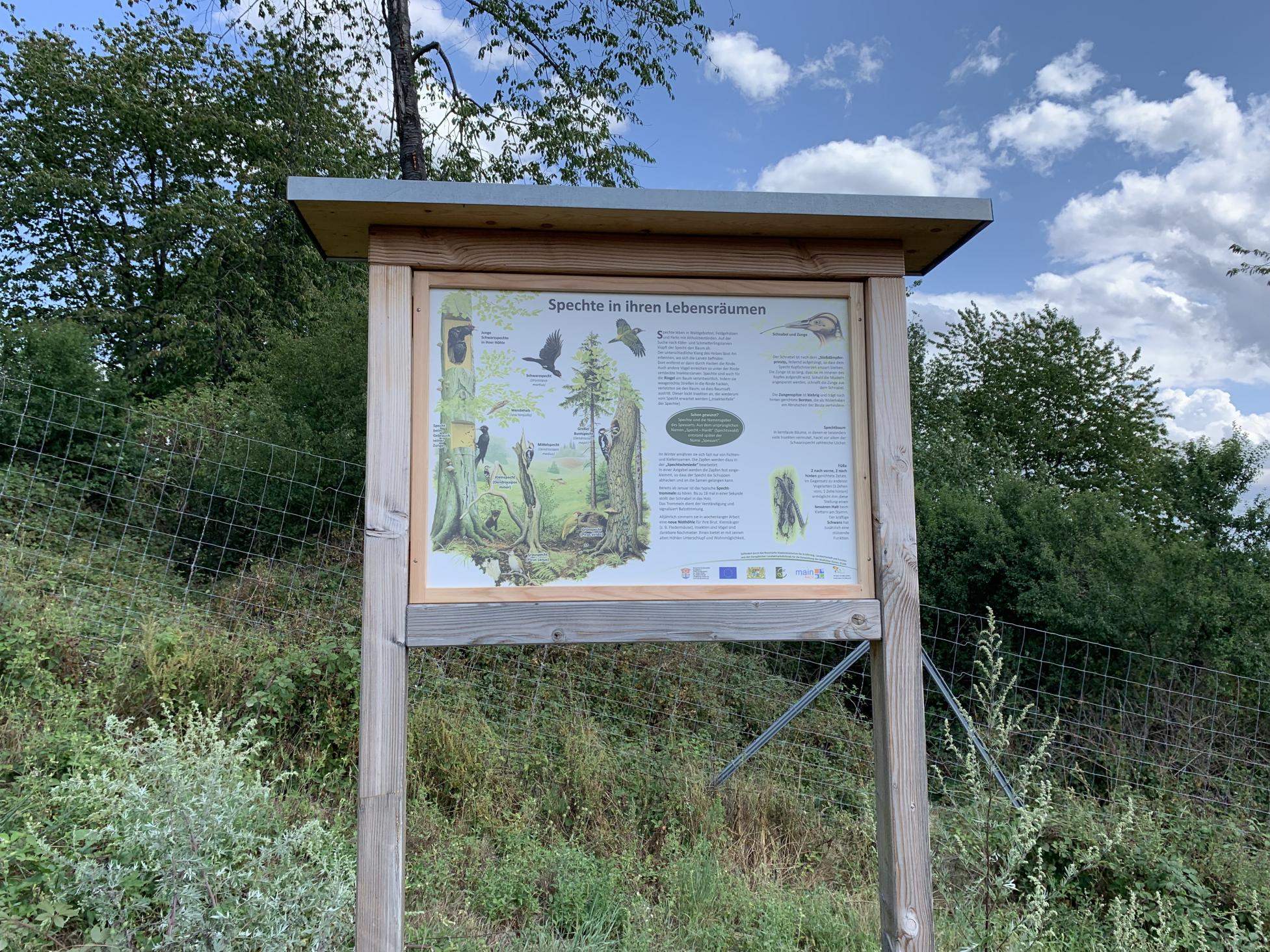 Eine Tafel des Walderlebniswegs © Gemeinde Dorfprozelten