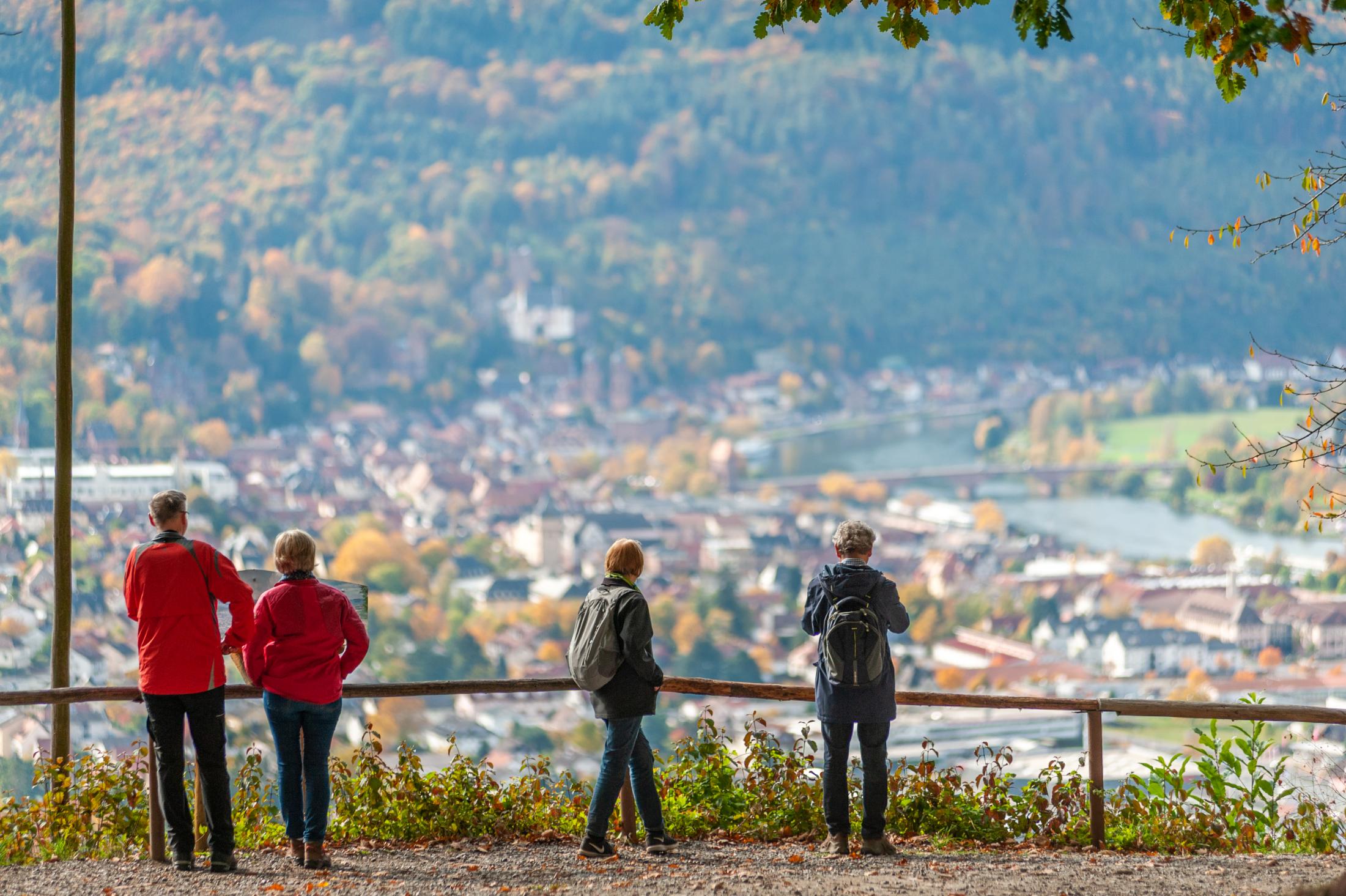 Aussicht von Centgrafenkapelle in Bürgstadt © WFB, Bildautorin: Petra Arnold