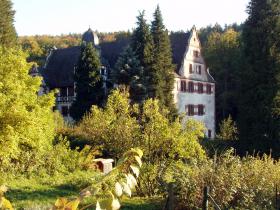 Oberaulenbach Schloss © ASP