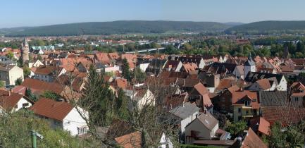 Panorama Obernburg © ASP