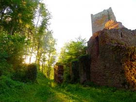 Zwei tiefe Halsgräben schützten die Burg auf der Bergseite. Foto: Tobias Schwarz