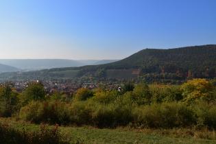 Blick auf Bürgstadt mit den Weinbergen und Steinbrüchen im Hintergrund. © Burglandschaft